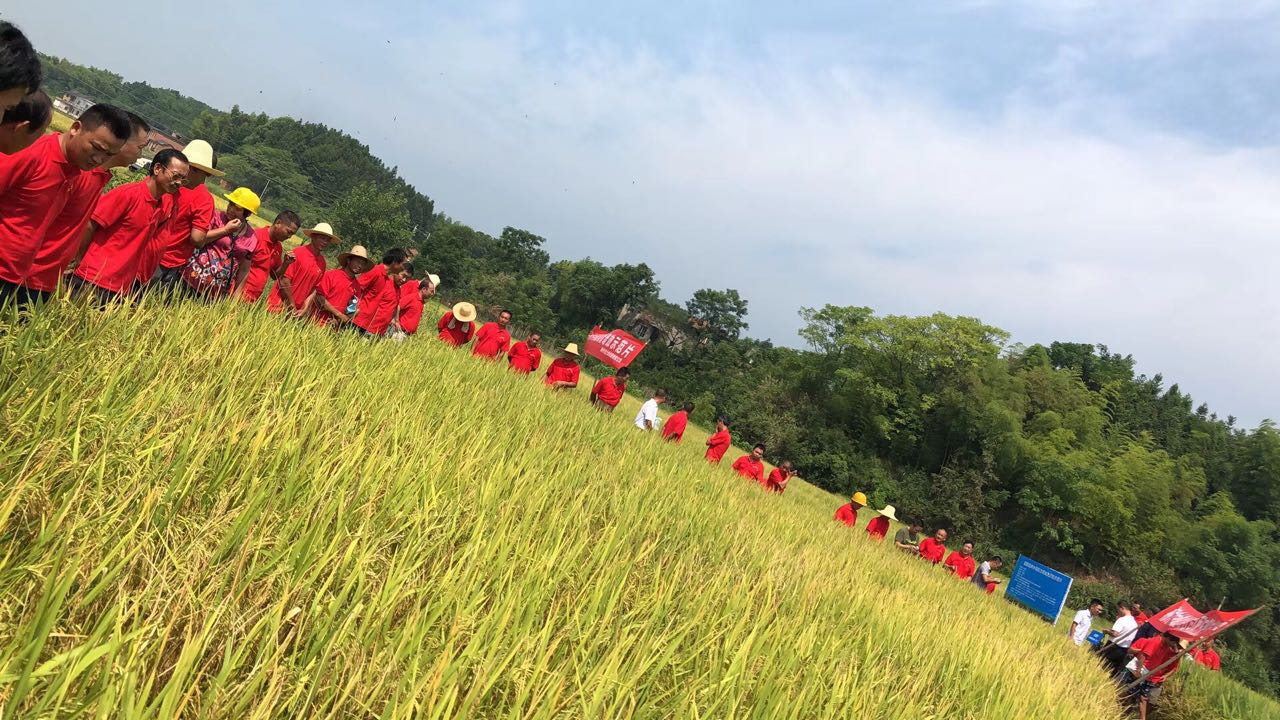 郴州市金土地化肥有限公司,湖南配方肥定點加工,林木肥銷售,有機肥質量 郴州市金土地化肥有限公司,湖南配方肥定點加工,林木肥銷售,有機肥質量
